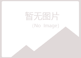 成都紫山会计有限公司